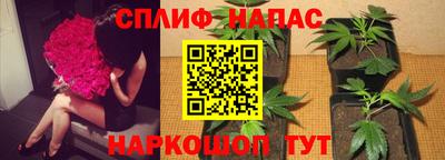 СК Кулебаки